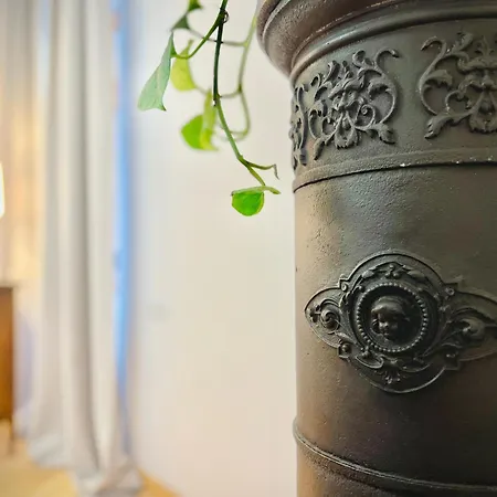 Zentrum Vintage Appartments 4* בראשוב