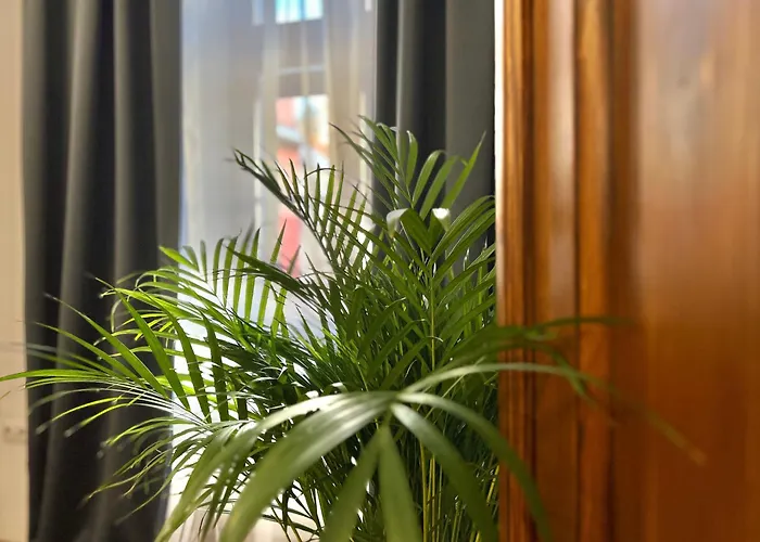 Zentrum Vintage Appartments Aparthotel Brasov